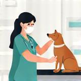 Illustration of a veterinarian examining a pet during a consultation