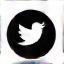 X (Twitter) icon